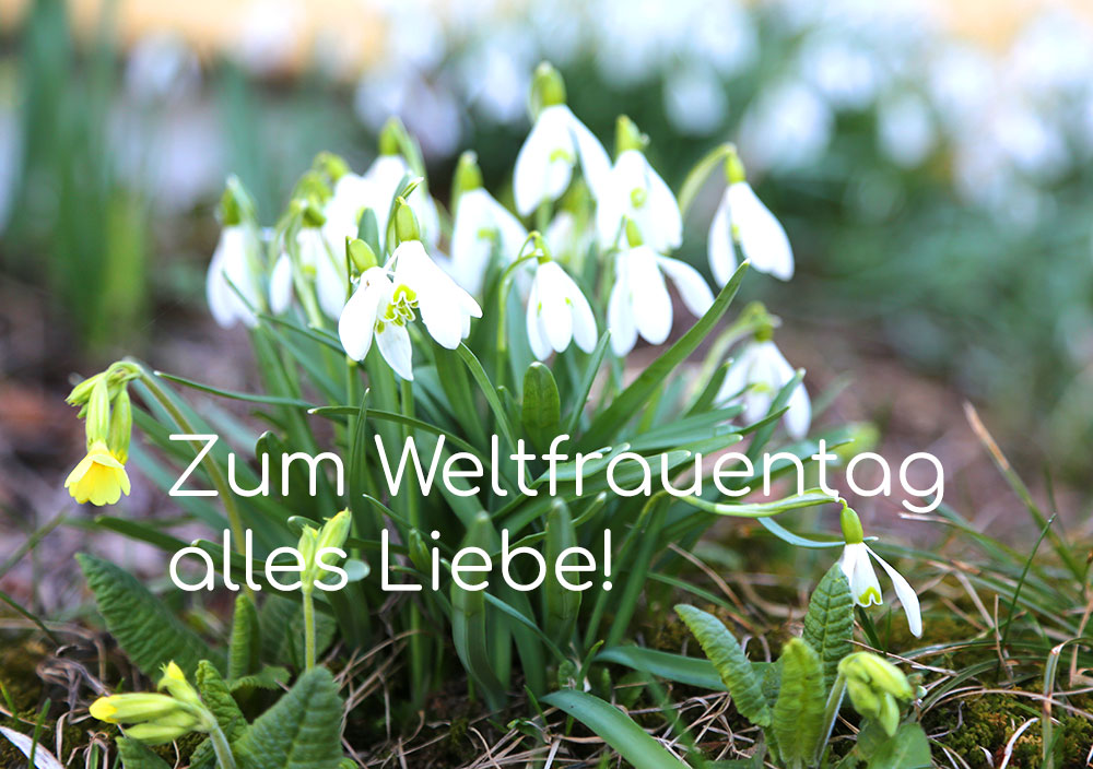 Alles Liebe zum Weltfrauentag!